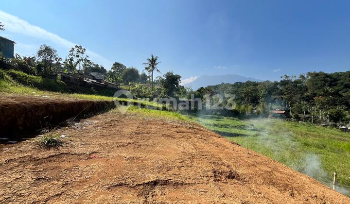 Tanah Kontur Puncak Bogor Luas 500m2 Dekat Taman Safari Tanah Kontur Puncak Bogor Luas 500m2 Dekat Taman Safari
