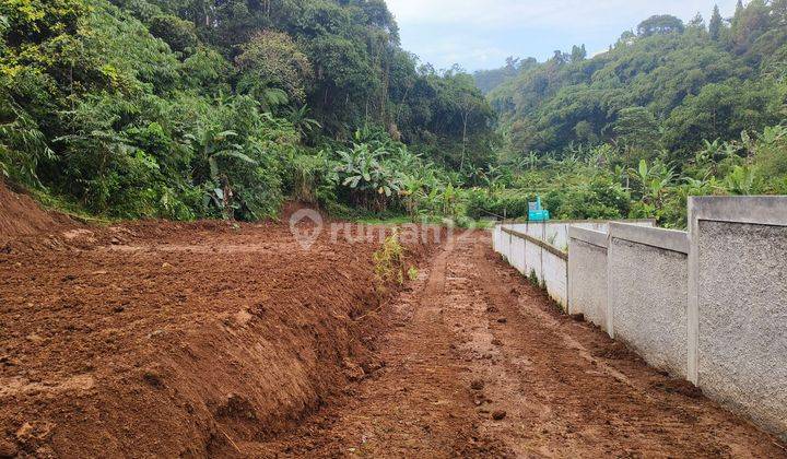 Tanah Murah Banget 500 m² SHM View Alam 2