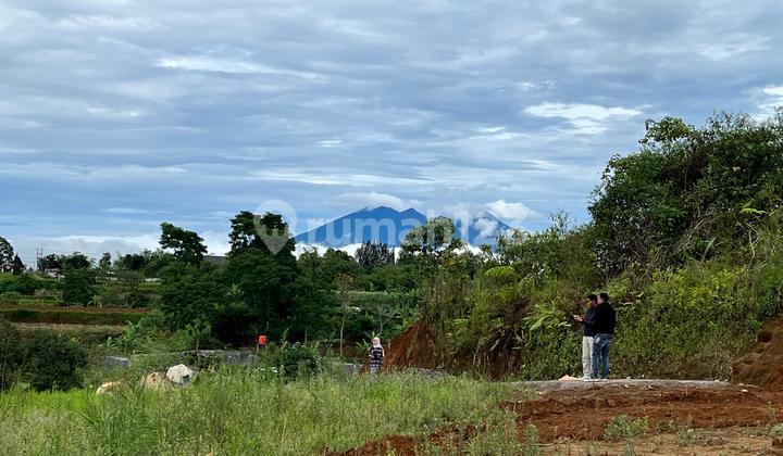 Tanah Shm Di Puncak Bogor Luas 360m2 Akses Mudah Tanah Shm Di Puncak Bogor Luas 360m2 Akses Mudah