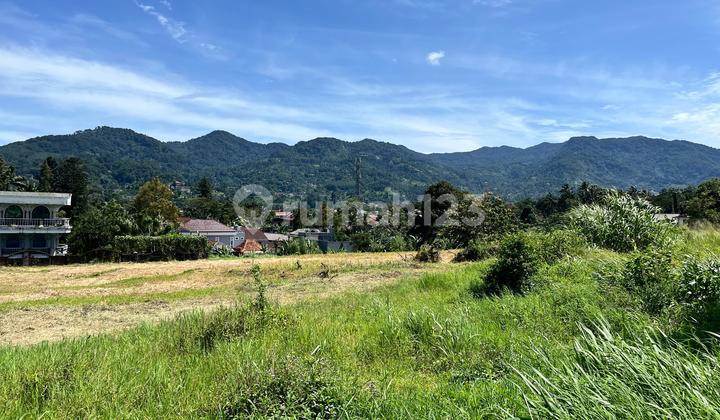 Tanah Di Puncak Bogor View Gunung Dekat Jalan Raya