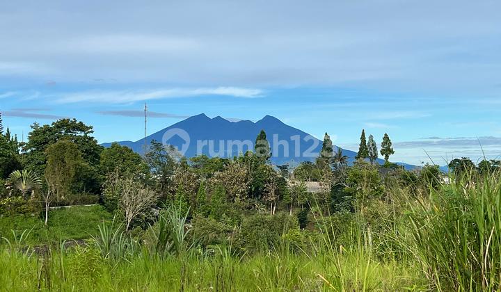 Tanah Shm Luas 510m2 Puncak Bogor Akses Mobil