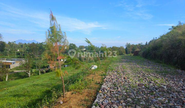 Tanah Dijual Di Puncak Bogor Luas 300m2 Posisi Hook 2