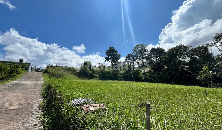 Tanah Belakang Coffe Shop Munjul Puncak Bogor Tanah Belakang Coffe Shop Munjul Puncak Bogor
