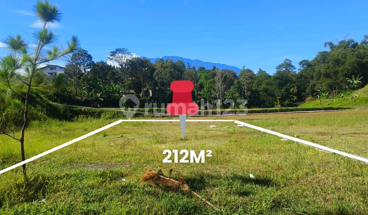 Tanah 212m2 Di Puncqk Megamendung Bogor Dekat Kopi Munjul Tanah 212m2 Di Puncqk Megamendung Bogor Dekat Kopi Munjul
