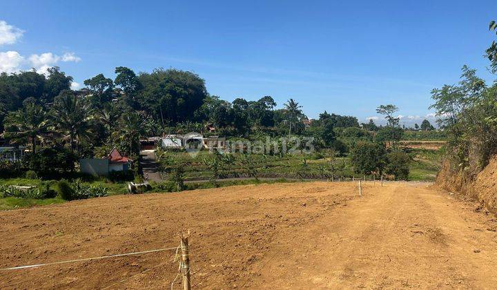 Tanah SHM 300 m² Posisi Hook Di Puncak Bogor 2