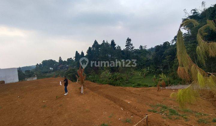 Tanah Murah Sumber Air Melimpah Di Puncak Bogor 2