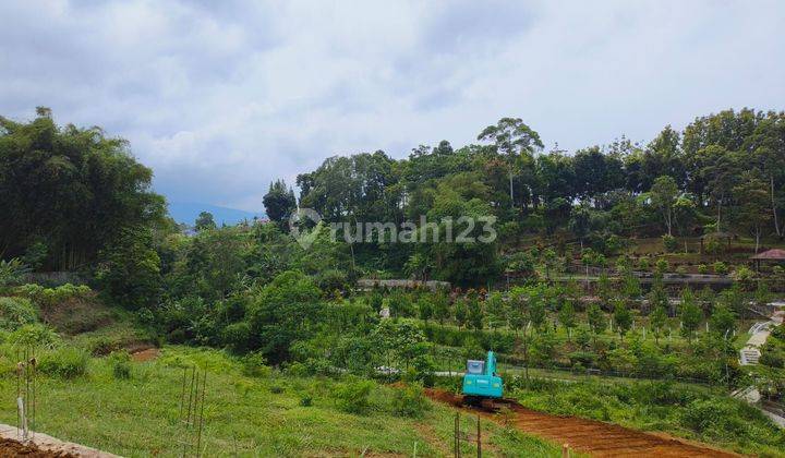 Tanah 250 m² SHMdi Megamendung Puncak Bogor 2