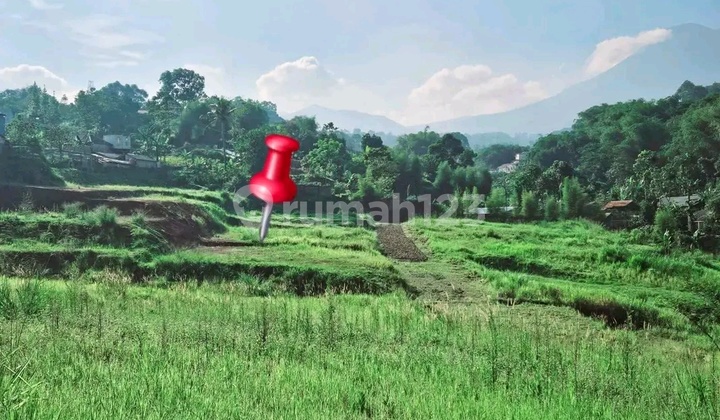Tanah Di Puncak Bogor 950mdpl Luas 400m2 Di Hook