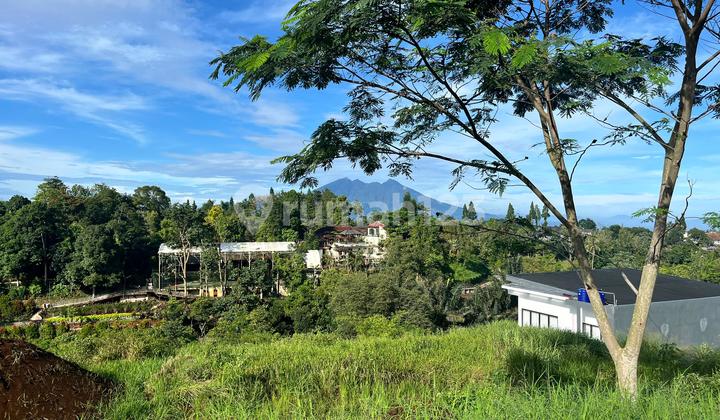 Tanah Di Puncak Bogor Shm Kawasan Villa Akses Bagus
