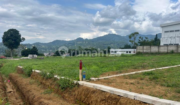 Tanah Dijual Di Puncak Bogor Akses Bus Besar Tanah Dijual Di Puncak Bogor Akses Bus Besar