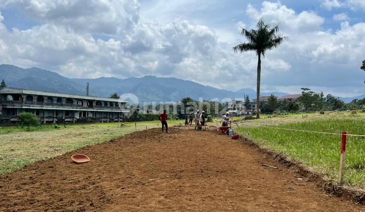 Land Area 123M2 in Puncak Bogor Near the Main Road Land Area 123M2 in Puncak Bogor Near the Main Road