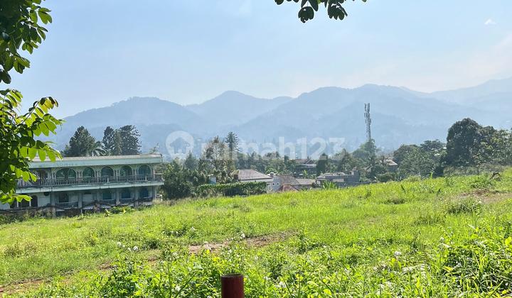 Tanah Dekat Jalan Raya Puncak Luas 300m2 