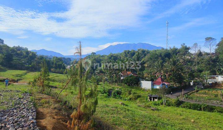 Tanah Dijual Di Cisarua Puncak Bogor Cocok Untuk Villa  1