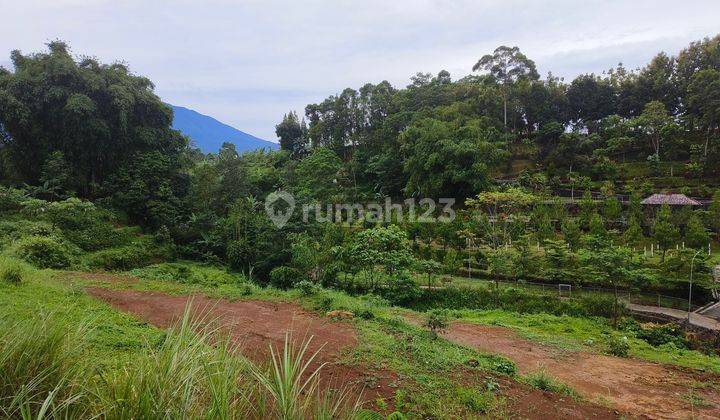 Tanah SHM 250 m² Di Megamendung Puncak Bogor 1