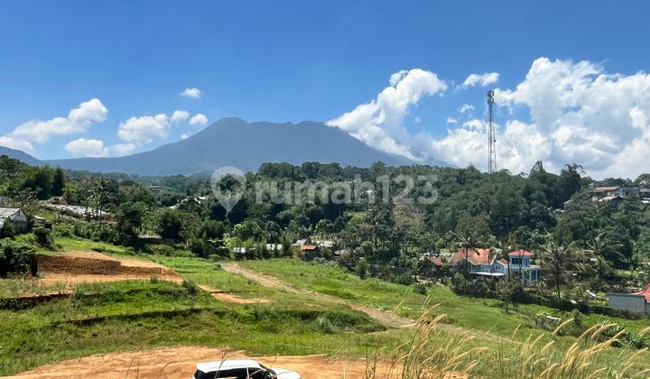 Tanah 1000 M2 Di Puncak Bogor Udara Dingin