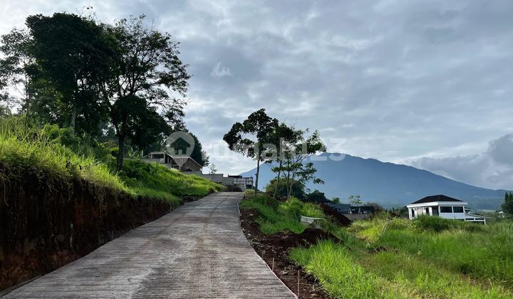 Tanah Luas 510m² Di Puncak Megamendung Bogor