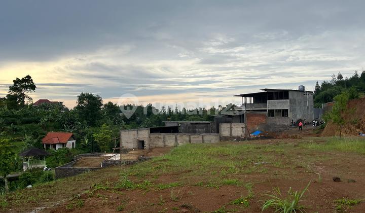 Tanah Strategis Dekat Wisata Taman Safari Puncak Tanah Strategis Dekat Wisata Taman Safari Puncak