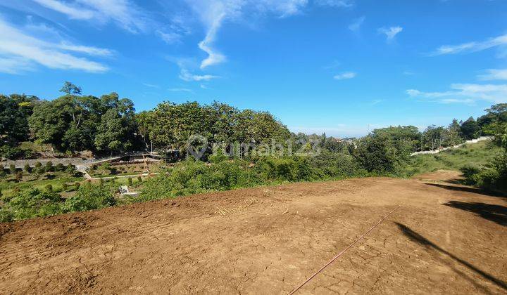 Tanah 330 m² SHM Akses Mudah Pinggir Jalan Alternatif Puncak 2