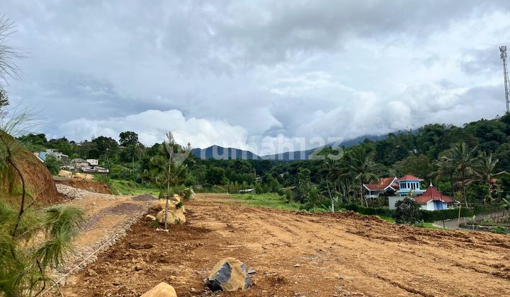 Tanah 500m2 Dekat Taman Safari Puncak Bogor