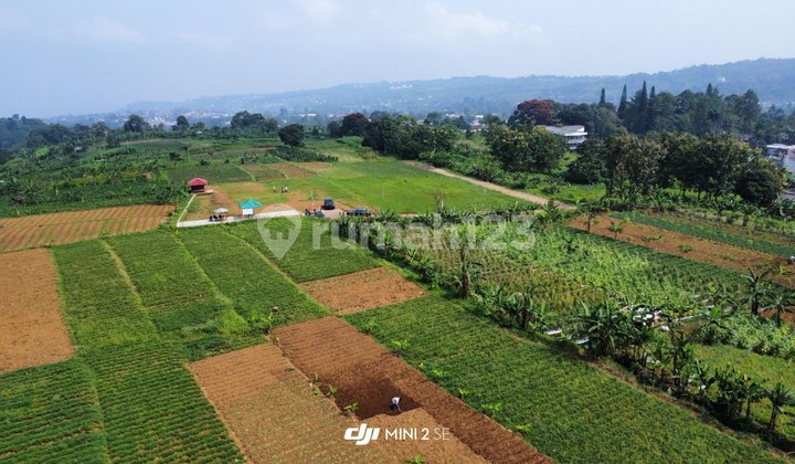 Tanah Luas 1000M2 Dekat Jalan Raya Puncak Kawasan Wisata