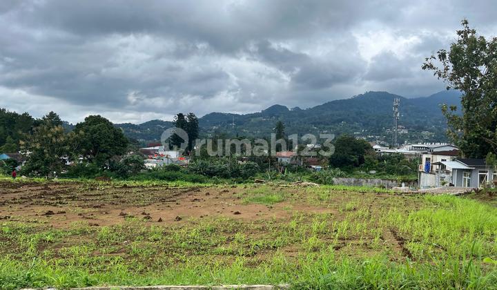 Tanah 1000 Meter di Puncak Bogor Dekat ke Jalan Raya