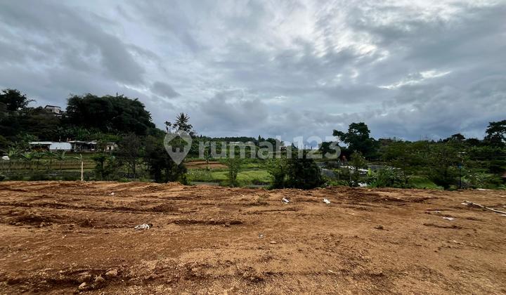 Tanah 500m2 Dekat Taman Safari Puncak Bogor