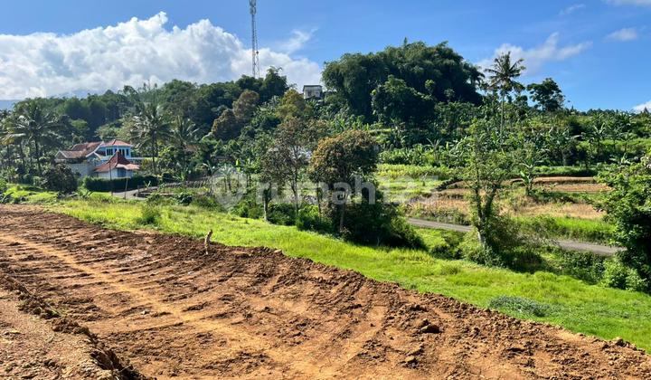 Land For Sale In Puncak Bogor Villa Area