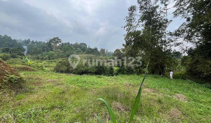 Tanah Murah Dijual Cepat Di Puncak Bogor Kawasan Villa