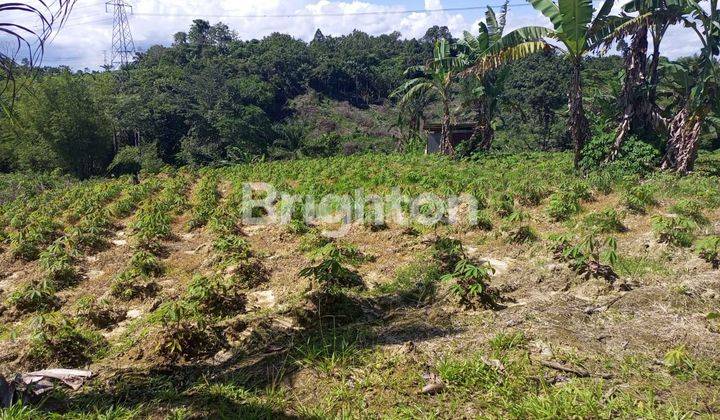 LAHAN BERSETIFIKAT DI JL. WANAYASA KM 10 BALIKPAPAN 2