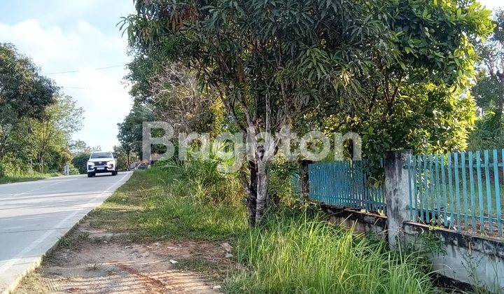 Tanah Tepi Jalan Dan Akses Sungai Cocok Dibangun Gudang & Dermaga 2