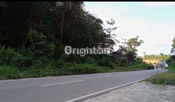 TANAH STRATEGIS DI JALAN UTAMA SEKADAU HILIR 1