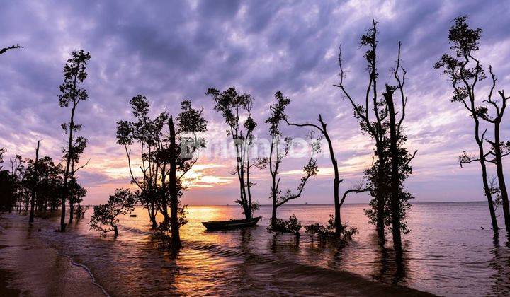 LAHAN EXCLUSIVE DI TEPI PANTAI WISATA AMBALAT 2