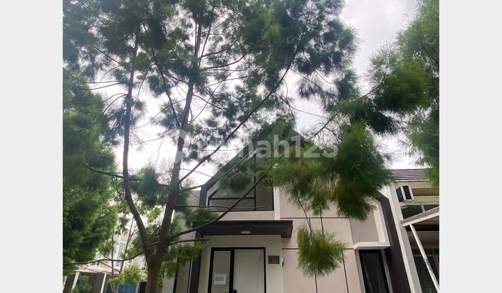 Rumah Siap Huni Tinggi 5 Meter Cicilan 3 Juta An di Dalam Kawasan Hijau 210 Hektar Dekat Tol & Stasiun KRL Serpong BSD Rumah Siap Huni Tinggi 5 Meter Cicilan 3 Juta An di Dalam Kawasan Hijau 210 Hektar Dekat Tol & Stasiun KRL Serpong BSD