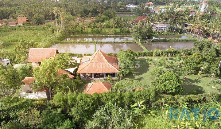 Rumah Semi Villa Siap Huni Harga Miring D Gianyar Bali 2