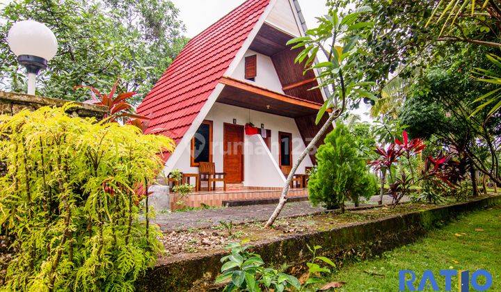 Dikontrakan Resort Mewah 18 Kamar Di Nusa Penida Bali 1