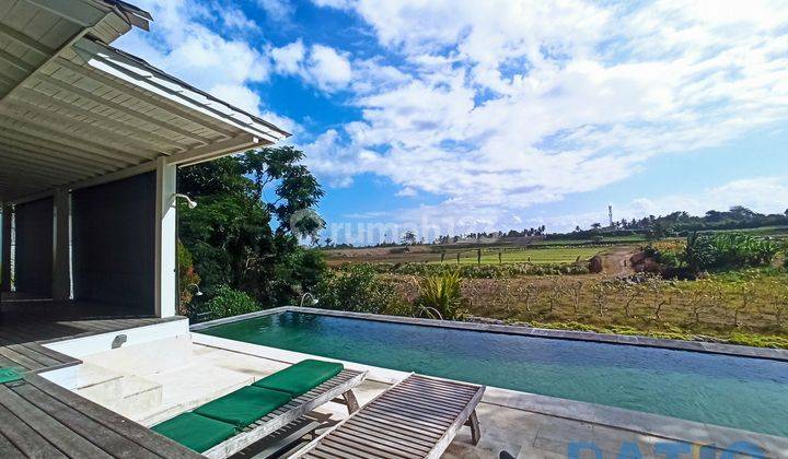 Sale Villa Siap Huni Dekat Pantai Saba Bali Open Sewa 8