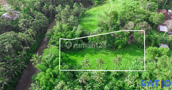 Dijual Tanah Global Pinggir Sungai Dekat Bali Zoo Gianyar 1