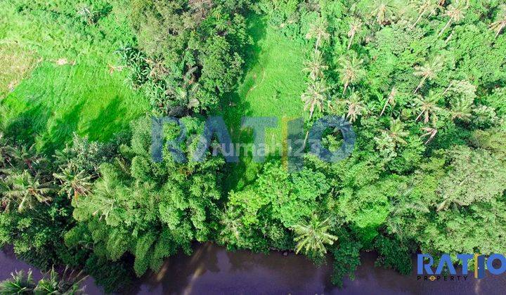 Dijual Tanah Global Pinggir Sungai Dekat Bali Zoo Gianyar 2