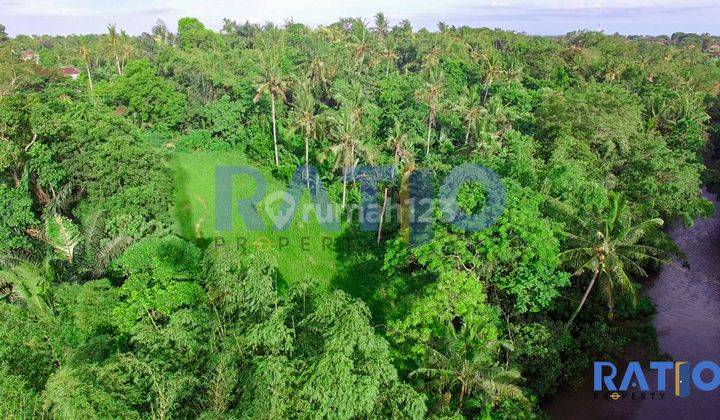 Dijual Tanah Global Pinggir Sungai Dekat Bali Zoo Gianyar 6