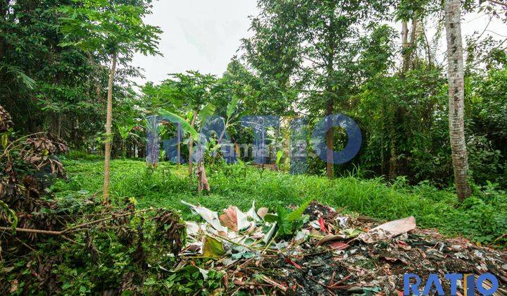 Leasehold Tanah 7 Are Di Kawasan Villa Ubud 2