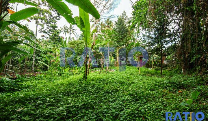 Leasehold Tanah 7 Are Di Kawasan Villa Ubud 1