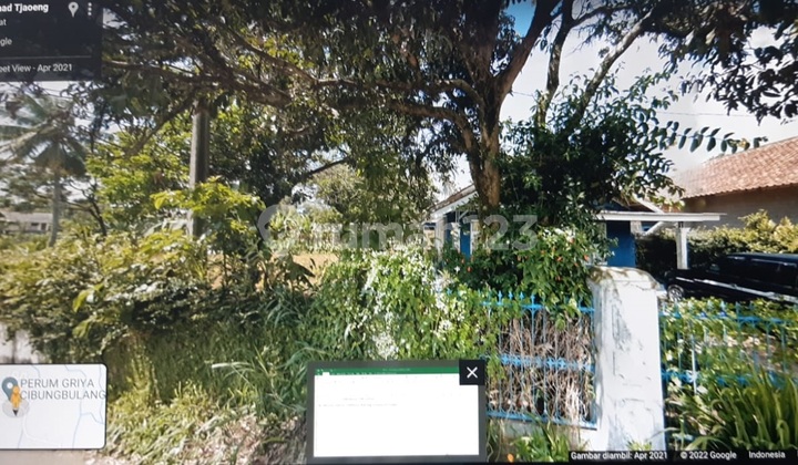 Rumah Dan Perkebunan Cibungbulang Bogor 3