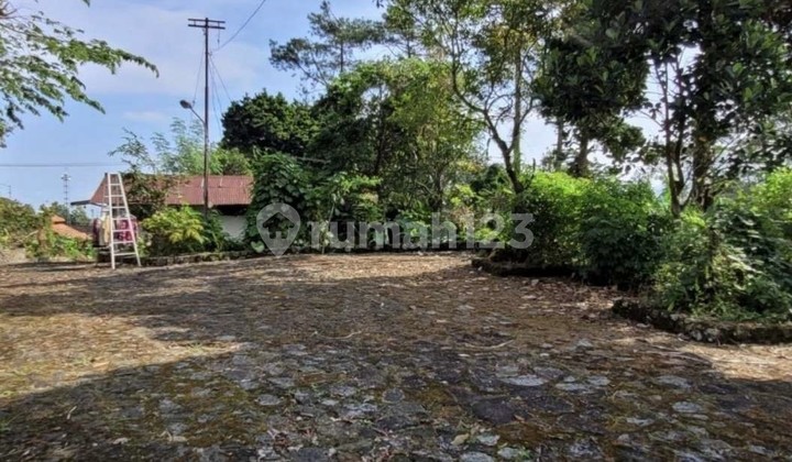TANAH 4191 M2 DI JALAN RAYA TRAWAS, MOJOKERTO, JAWA TIMUR TANAH 4191 M2 DI JALAN RAYA TRAWAS, MOJOKERTO, JAWA TIMUR