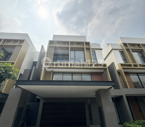 Echante Cluster BSD Brand New