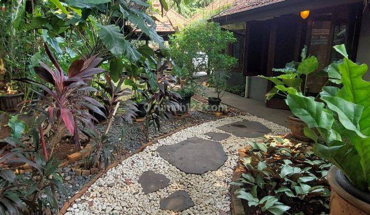 Rumah Etnik Di Menteng Jakarta Pusat Desain Rumah Belanda Bali  2