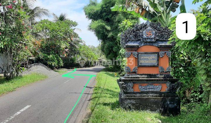 Dijual Tanah Desa Tangguntiti Selemadeg Timur Bali 2