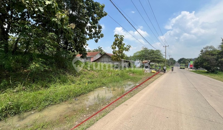 For Sale Industrial Land Near Toll Road In Cikedung Indramayu West Java