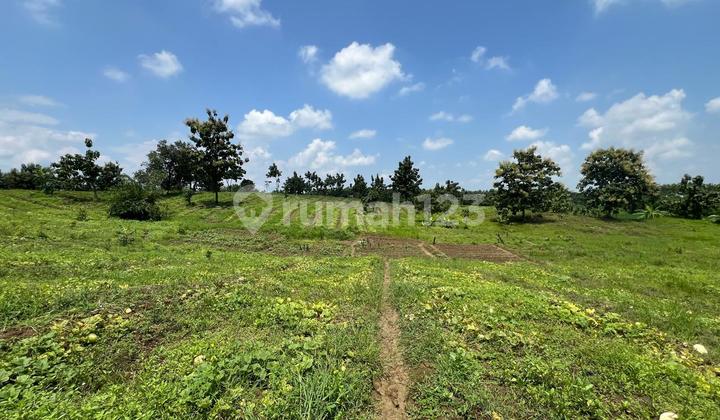 For Sale Industrial Land Near Toll Road In Cikedung Indramayu West Java