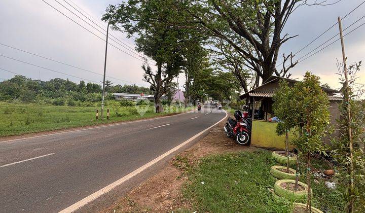 Dijual Tanah Industri Di Jalan Utama Subang Jawa Barat 1