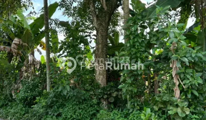 Tanah di Jalan Sidobakti, Deli Serdang SHM 47 are 8